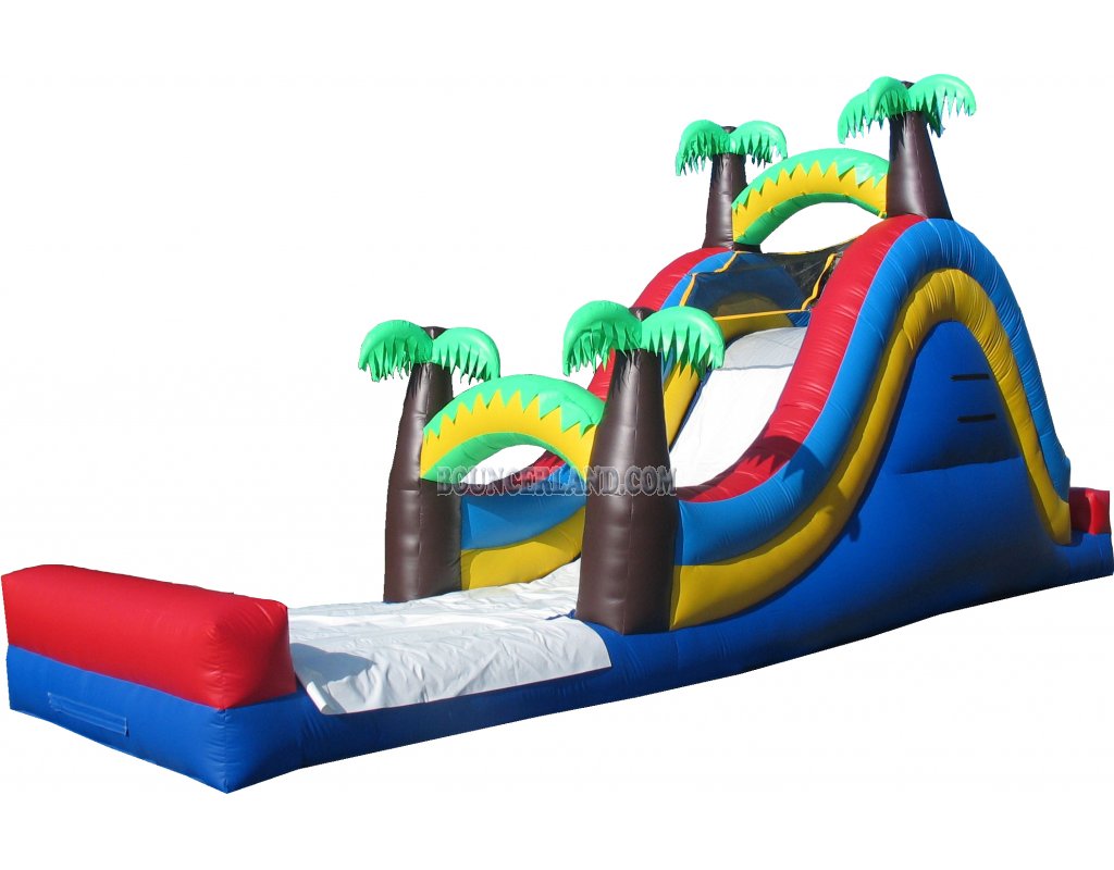 Inflatable Water Slide 100