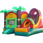 Commercial Inflatable Combo 3020