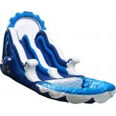 Commercial Inflatable Water Slide 2056