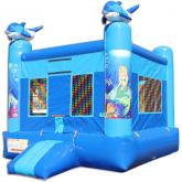 Inflatable Commercial Bounce House 1050