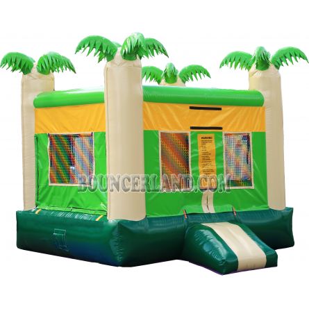 Commercial Bounce House 1080