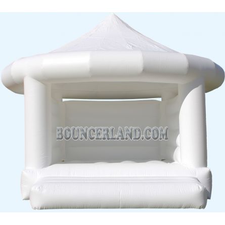 Inflatable Bouncer 1095