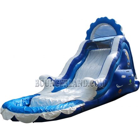 Inflatable Water Slide 2001