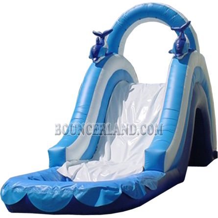 Inflatable Water Slide 2005